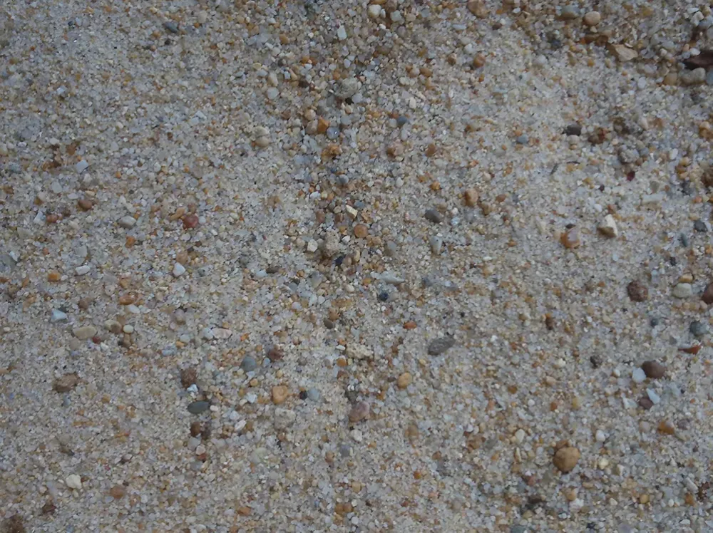 Sable