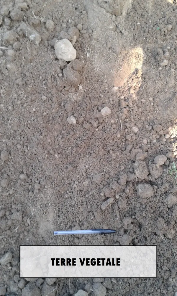 TERRE VEGETALE